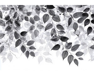 Fotobehang met tropische bladeren in groene tinten tegen een lichte achtergrond.