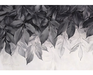Fotobehang met minimalistische botanische bladeren in zwart-wit op een lichte achtergrond.