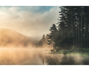 Fototapete mit Nebel über einem See, umgeben von Bergen und Wäldern, mit einer ruhigen und friedlichen Atmosphäre.