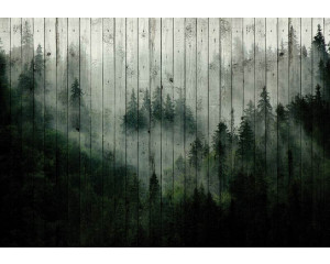 Neblige Wald-Fototapete mit Bäumen auf einem Holzplanken-Hintergrund.
