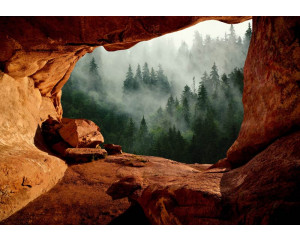 Fototapete eines nebligen Waldes von einer Höhle aus gesehen mit einer geheimnisvollen Atmosphäre.