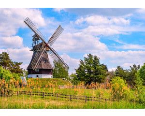 Fototapete Strand mit Dünen und Meer mit Blick auf Sand, Strandgras und schimmernde Wellen.