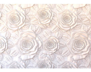 Fototapete Wand aus weißen Rosen