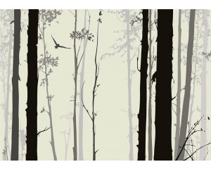 Fototapete Mystic Forest