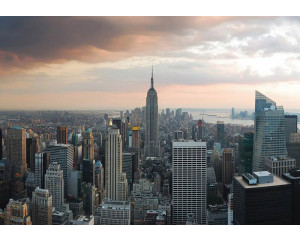 New Yorker Skyline mit Wolkenkratzern und Wohnhäusern, urban gerendert auf einer modernen Fototapete.