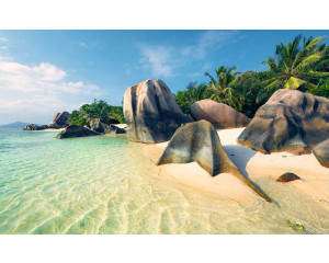 Ozean Perle Palmen Strand Fototapete, ideal für ein tropisches Zimmer.