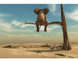 Elefant unter einem Baum in einer weiten Wüstenlandschaft, mit detaillierten Schatten und Texturen auf dieser Fototapete.