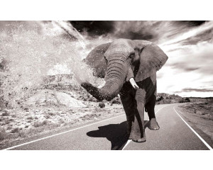 Fototapete eines Elefanten in Aktion, mit einem dynamischen und kraftvollen Look.