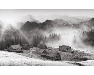 Fototapete eines alten Bauernhauses in den Bergen, umgeben von dichten Wäldern und Natur.