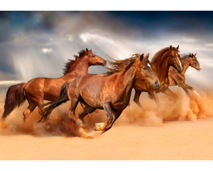 Fototapete mit Pferden, die am Strand entlang galoppieren, mit einem Wüstenhintergrund.