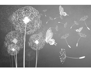 Löwenzahn und Schmetterlinge, Natur und Abstraktion kombiniert auf einer schwarz-weißen Fototapete.