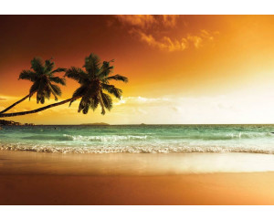 Fototapete von Palmen über einem tropischen Strand und Meer, mit einer friedlichen Atmosphäre.