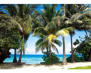 Fototapete Palmen am Meer