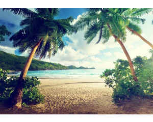 Tropische Fototapete mit Palmen am Strand und einem ruhigen Meer im Hintergrund.