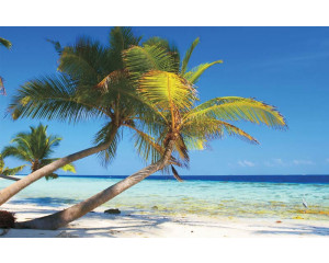 Fototapete von einem tropischen Strand mit grünen Palmen, einem azurblauen Meer und einer strahlenden Sonne am Horizont.