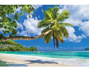 Fototapete von einem tropischen Strand mit Palmen und klarem blauen Wasser, mit einer ruhigen und exotischen Atmosphäre.