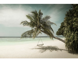 Palme mit Schaukel am Meer, Fototapete für einen sorglosen und tropischen Look.