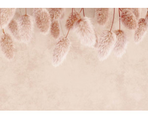 Pampasgras vor einer Betonwand in dieser Fototapete, mit einer subtilen Mischung aus Natur- und Industriestrukturen.