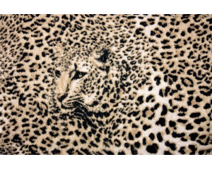 Panther Print Fototapete mit Tiermotiv eines Leoparden.