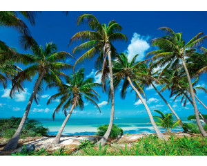Fototapete von Paradies Palmen an einem tropischen Strand mit Blick auf das Meer.