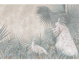 Fototapete Pfaue in tropischer Oase