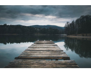 Fototapete mit einem Holzsteg, der sich über einen ruhigen See erstreckt, umgeben von einer üppigen Naturlandschaft.