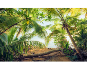 Piratenversteck in Puerto Rico, mit einem Dschungel voller Palmen.