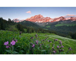 Die malerische Schweiz mit ihren Bergen und atemberaubenden Landschaften.