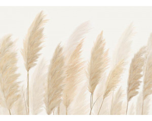 Eine Federn-Fototapete, bei der anmutige Pampasgrasfedern in sanften Erdtönen einen eleganten und beruhigenden Look erzeugen.