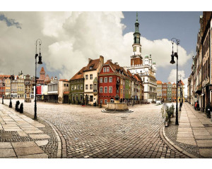 Poznan-Panorama, Fototapete mit polnischen Denkmälern und Gebäuden, ideal für einen städtischen Raum.