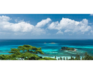 Seychellen Palmen Strände Fototapete, mit einem Paradies Strandlandschaft.
