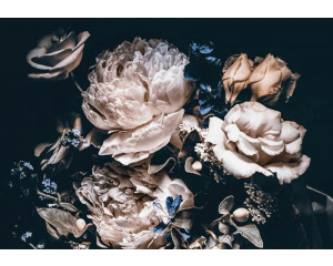 Romantischer Blumenstrauß Fototapete mit Rosen und Pfingstrosen, klassisches Ambiente.