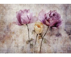 Rosen auf einer Betonwand, eine detaillierte Fototapete mit einer künstlerischen Blumendarstellung.