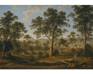 Fototapete eines Waldes, gemalt in einem natürlichen Stil.