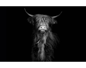 Schwarz-Weiß-Fototapete mit einem schottischen Highlander, der stolz in einer Landschaft steht.