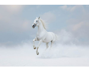 Fotobehang voetbal door de muur met 3D-effect van een bal die door gebarsten wand knalt.
