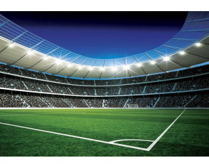 Die Fototapete zeigt ein Stadion und einen Fußballplatz, auf dem Kinder spielen.