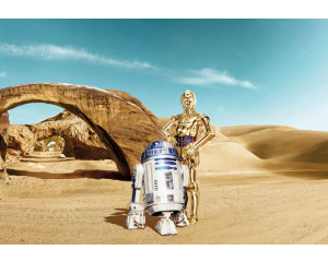 Fototapete mit verlorenen Droiden aus Star Wars, perfekt für ein Zimmer mit Star Wars-Thema.