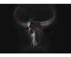 Fototapete eines kräftigen Stiers, dynamisch dargestellt in einer industriellen Umgebung mit starken Kontrasten.