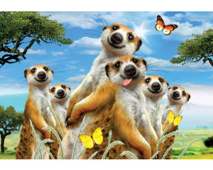 Erdmännchen und Tiere, verrückte Dash of animals Fototapete mit einer lustigen Anzeige für Kinder.