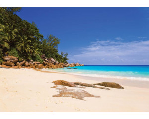 Strand und Meer, Fototapete mit beruhigenden und natürlichen Ansichten des Horizonts.
