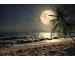 Strand bei Vollmond, mit Palmen und einem hell erleuchteten Mond über einem paradiesischen Meer, Fototapete, die eine magische Atmosphäre hervorruft.