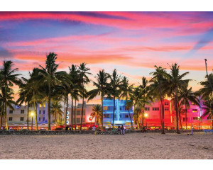 Abendbild eines Strandes mit Palmen am Ufer und dem ruhigen Meer unter einem klaren Sternenhimmel, Fototapete, die Gelassenheit ausstrahlt.