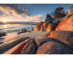 Strandlandschaft Bay of Fires Fototapete, mit einer schönen Küstenlandschaft.