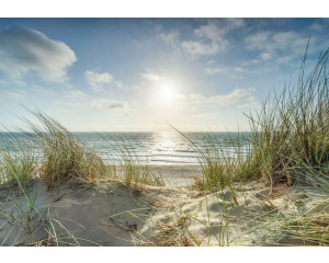 Fototapete Strand mit Dünen und Meer mit Blick über Sand, Dünengras und glitzernde Wellen.