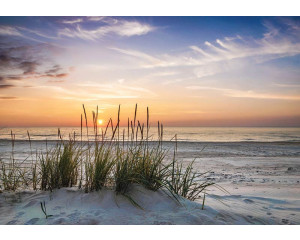 Fototapete mit Strandhafer auf Sanddünen mit Blick auf das Meer bei Sonnenuntergang.