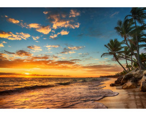 Fototapete eines paradiesischen Strandes mit Palmen und einem Sonnenuntergang über dem Meer, wo der Himmel in warmen Farbtönen leuchtet.
