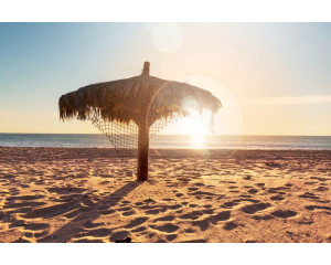Fototapete von einem tropischen Strand mit einem schönen Sonnenuntergang, wo das Meer und Palmen harmonisch verschmelzen.
