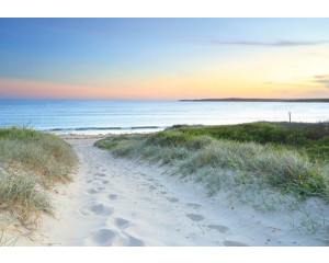 Ein Strandweg, der durch die Dünen zum Meer führt, ist auf dieser Fototapete zu sehen, die einen beruhigenden und natürlichen Look hat.