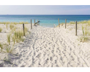 Fototapete von einem Sandweg durch die Dünen mit Blick auf das Meer.